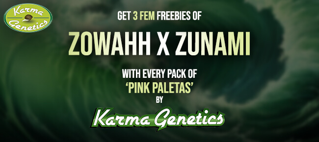 Karma Genetics - Zowahh x Zunami